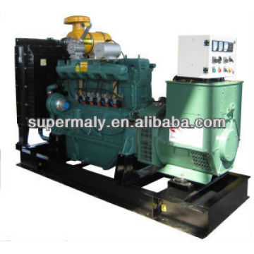 woodward controller chinese biogas generator